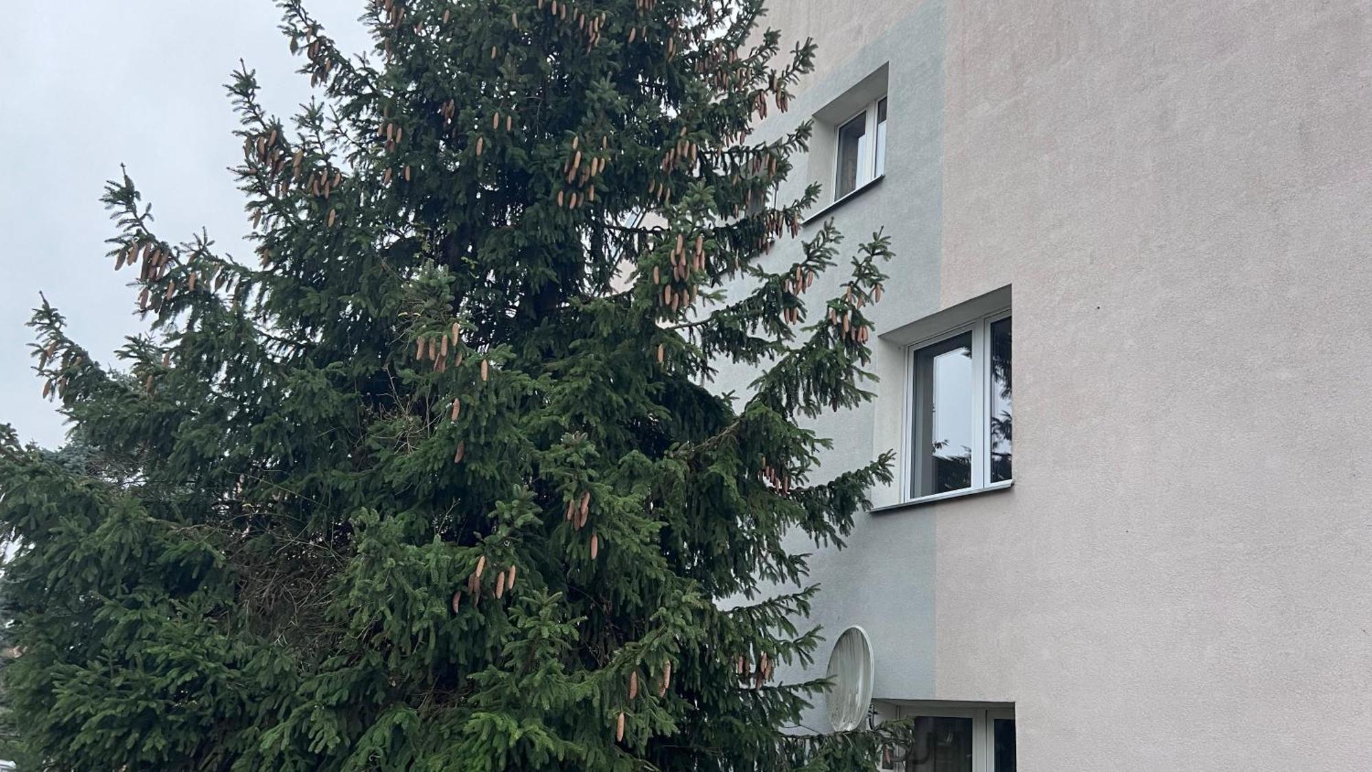 Apartament Niebianskie Pogodno Szczecin Exteriör bild